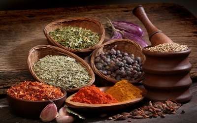 فروش انواع انواع آویاجات و دانه