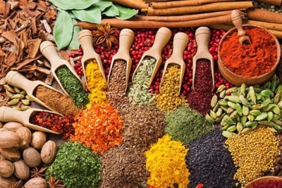 فروش انواع ادویه ترکیبی